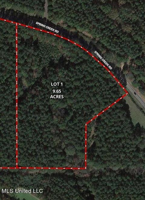 Spring Creek Rd, Flora, MS 39071 photo 2