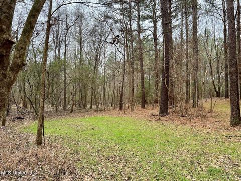 Spring Creek Rd, Flora, MS 39071 photo 5