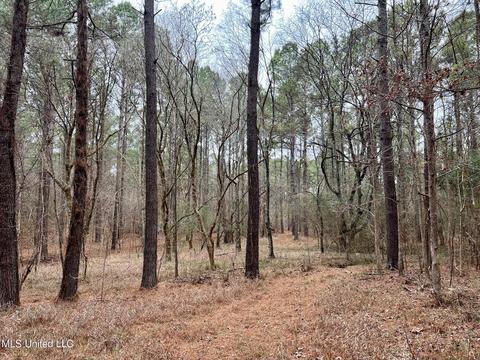 Spring Creek Rd, Flora, MS 39071 photo 3