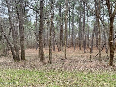 Spring Creek Rd, Flora, MS 39071 photo 6