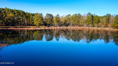 220 Midway Estates Dr, Terry, MS 39170 photo 49