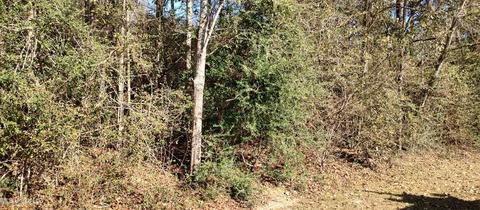 No Sharon Lane, Lumberton, MS 39455