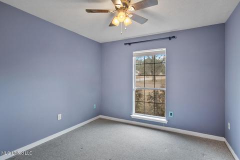 701 Wildberry Pointe, Madison, MS 39110 photo 13