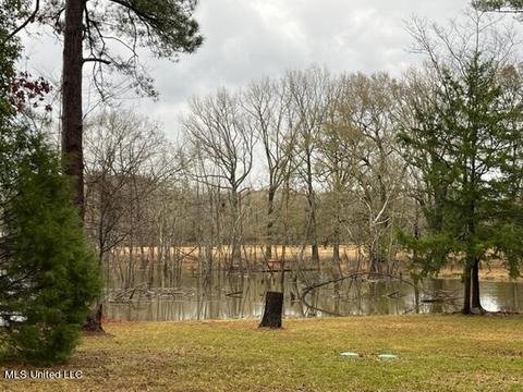 1226 Wesley Dr, Jackson, MS 39209 photo 26