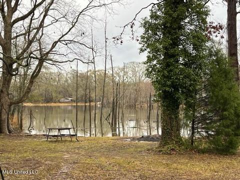 1226 Wesley Dr, Jackson, MS 39209 photo 25