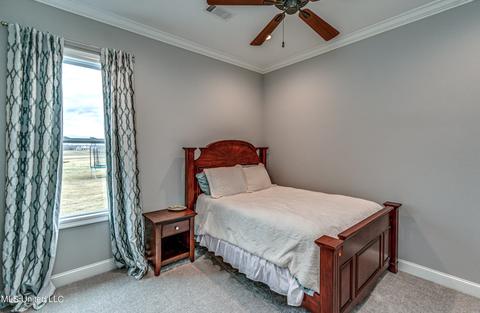 110 Coals Hill Xing, Flora, MS 39071 photo 40