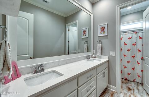 110 Coals Hill Xing, Flora, MS 39071 photo 47
