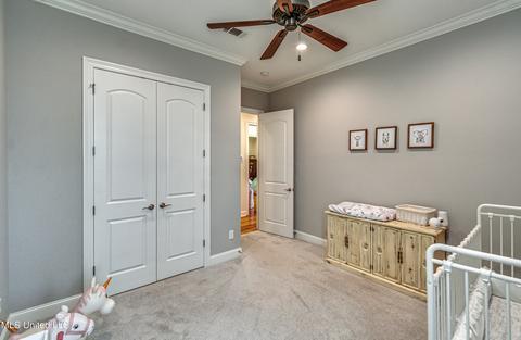 110 Coals Hill Xing, Flora, MS 39071 photo 46