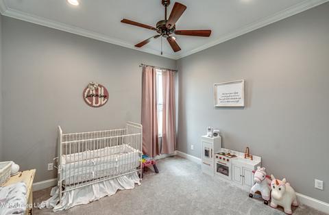 110 Coals Hill Xing, Flora, MS 39071 photo 44
