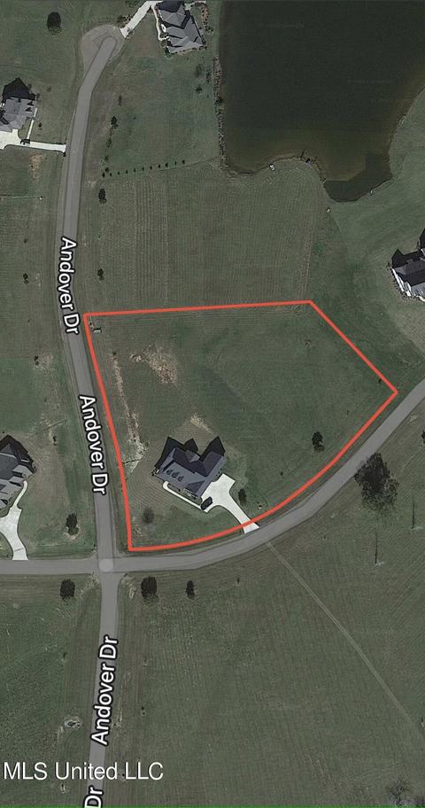 110 Coals Hill Xing, Flora, MS 39071 photo 4