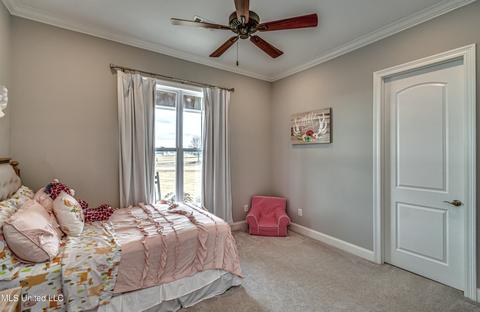 110 Coals Hill Xing, Flora, MS 39071 photo 49