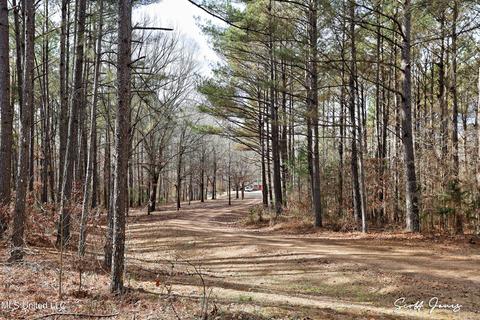 8822 Myrleville Rd, Benton, MS 39039 photo 70