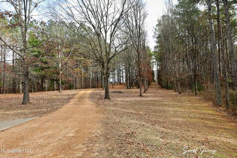 8822 Myrleville Rd, Benton, MS 39039 photo 60