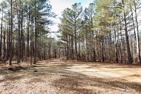 8822 Myrleville Rd, Benton, MS 39039 photo 71