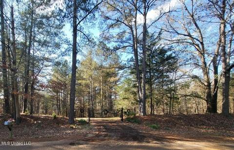 8822 Myrleville Rd, Benton, MS 39039 photo 74
