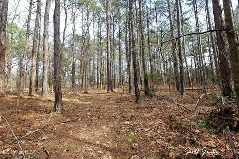 8822 Myrleville Rd, Benton, MS 39039 photo 64