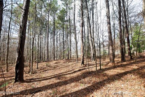 8822 Myrleville Rd, Benton, MS 39039 photo 62