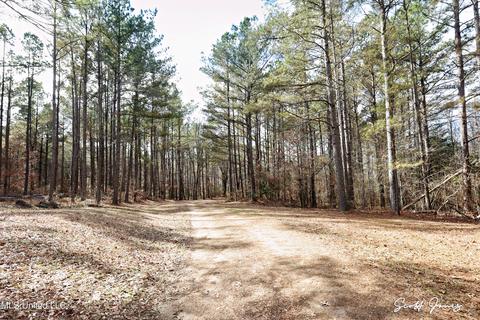 8822 Myrleville Rd, Benton, MS 39039 photo 72