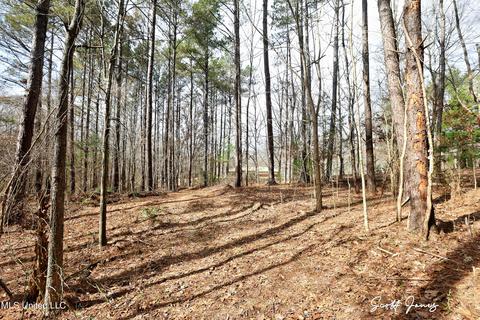 8822 Myrleville Rd, Benton, MS 39039 photo 63