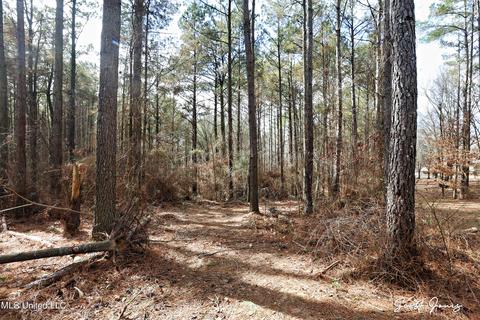 8822 Myrleville Rd, Benton, MS 39039 photo 68