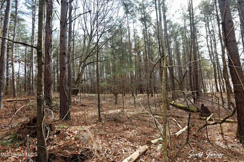 8822 Myrleville Rd, Benton, MS 39039 photo 65