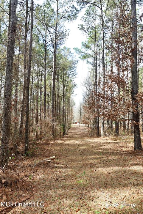 8822 Myrleville Rd, Benton, MS 39039 photo 67