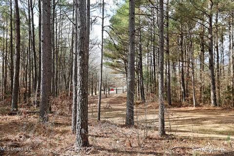 8822 Myrleville Rd, Benton, MS 39039 photo 69