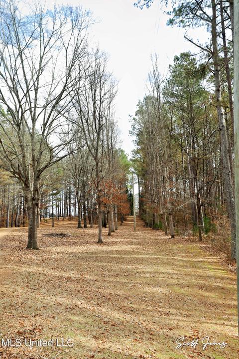 8822 Myrleville Rd, Benton, MS 39039 photo 61