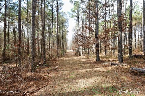 8822 Myrleville Rd, Benton, MS 39039 photo 66