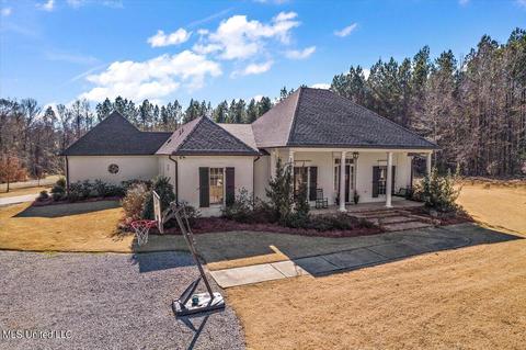 683 Twelve Oaks Trce, Canton, MS 39046 photo 6