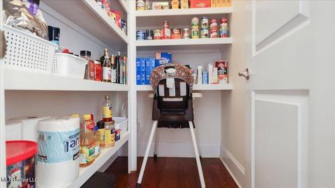 683 Twelve Oaks Trce, Canton, MS 39046 photo 55