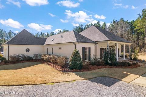 683 Twelve Oaks Trce, Canton, MS 39046 photo 8