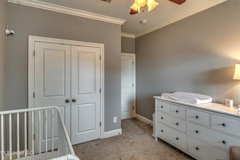 183 Falls Crossing Xing, Madison, MS 39110 photo 33