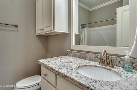 183 Falls Crossing Xing, Madison, MS 39110 photo 29
