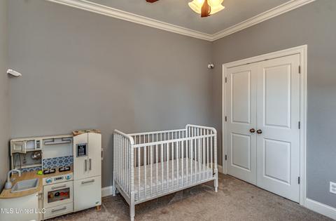 183 Falls Crossing Xing, Madison, MS 39110 photo 34