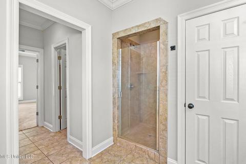 140 Brierfield Dr, Madison, MS 39110 photo 41