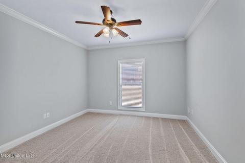 140 Brierfield Dr, Madison, MS 39110 photo 48