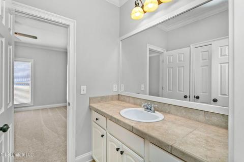 140 Brierfield Dr, Madison, MS 39110 photo 47
