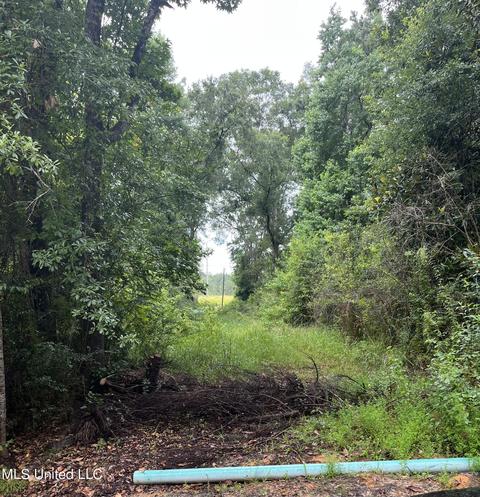 0 Poticaw Bayou Rd, Vancleave, MS 39565
