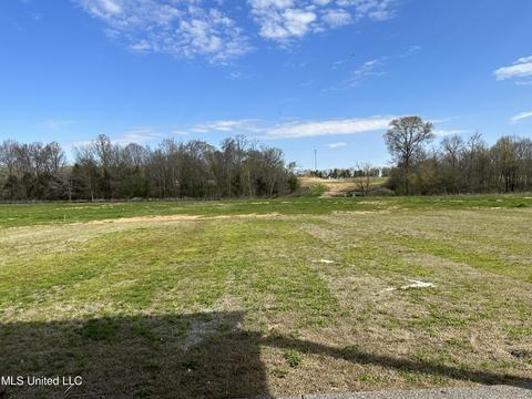 2174 Livingston Way, Hernando, MS 38632 photo 27