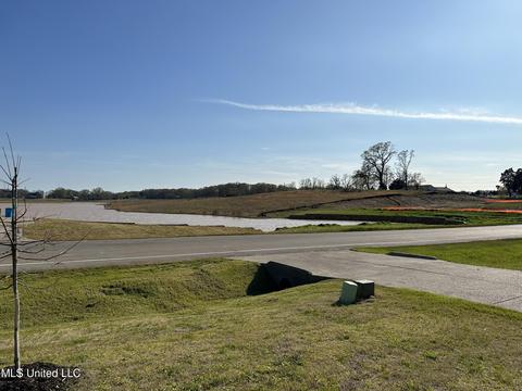 2174 Livingston Way, Hernando, MS 38632 photo 31