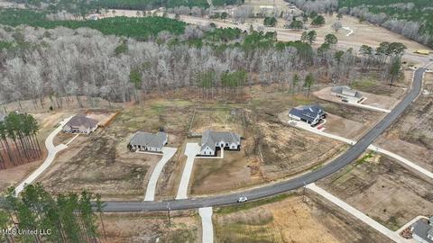 122 Fallen Oaks Dr, Brandon, MS 39047 photo 50