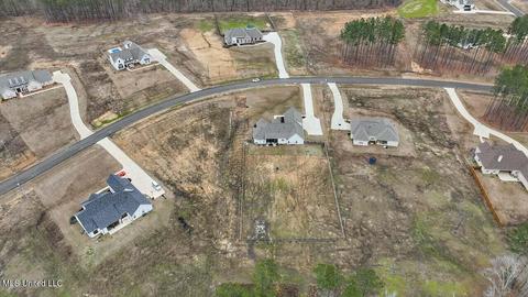 122 Fallen Oaks Dr, Brandon, MS 39047 photo 54