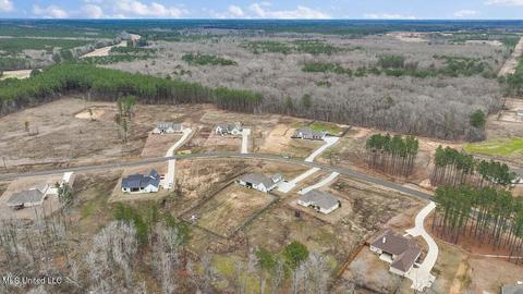 122 Fallen Oaks Dr, Brandon, MS 39047 photo 55