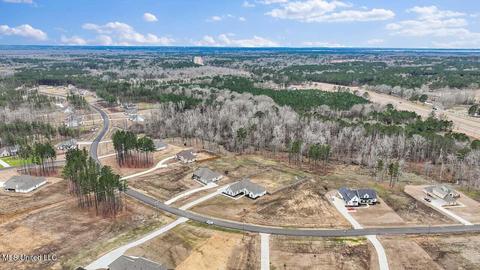 122 Fallen Oaks Dr, Brandon, MS 39047 photo 51