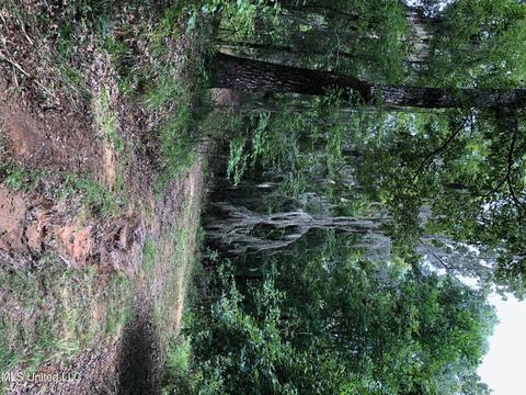 lot52 S Bc S Chestnut Hill Rd, Madison, MS 39110 photo 1