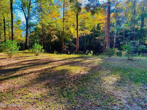 125 Hickory Ln, Lucedale, MS 39452 photo 17