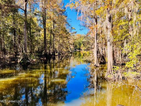125 Hickory Ln, Lucedale, MS 39452 photo 3