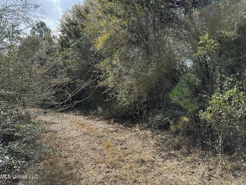 Greenbriar Place, Lumberton, MS 39455
