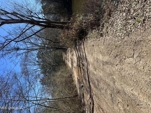 125 Barr Hill Dr, Magee, MS 39111 photo 1